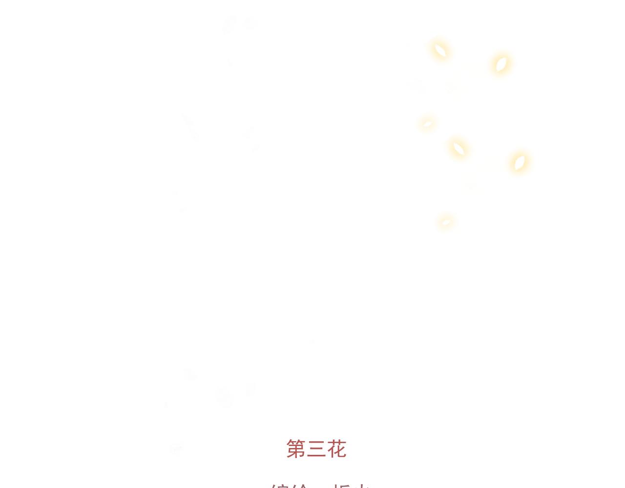 第三花51