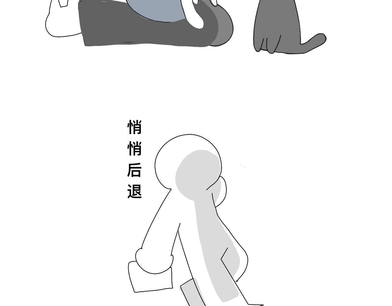 撸猫19