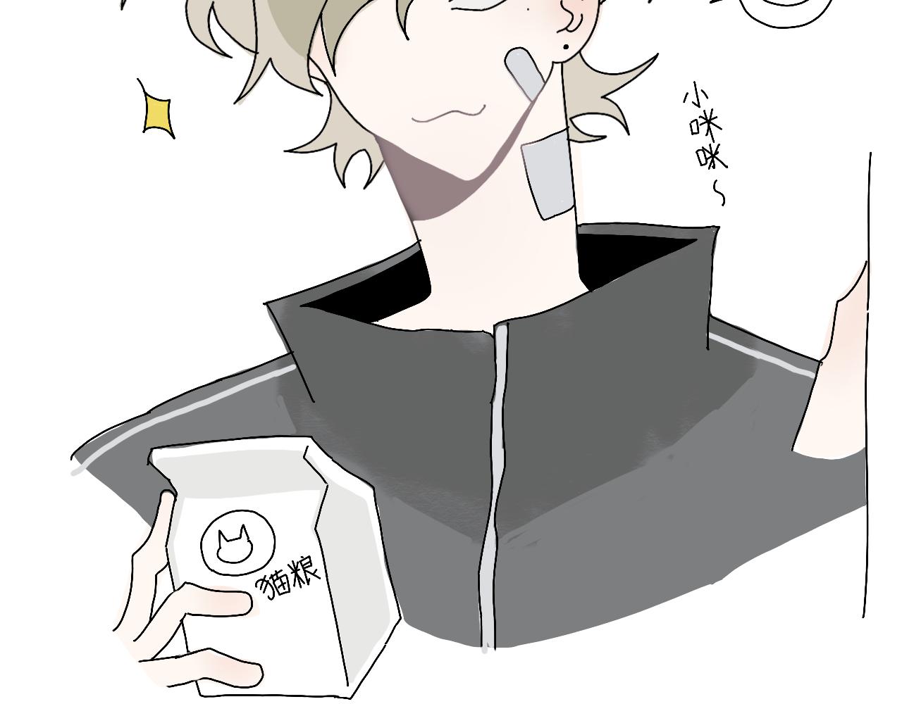 撸猫14