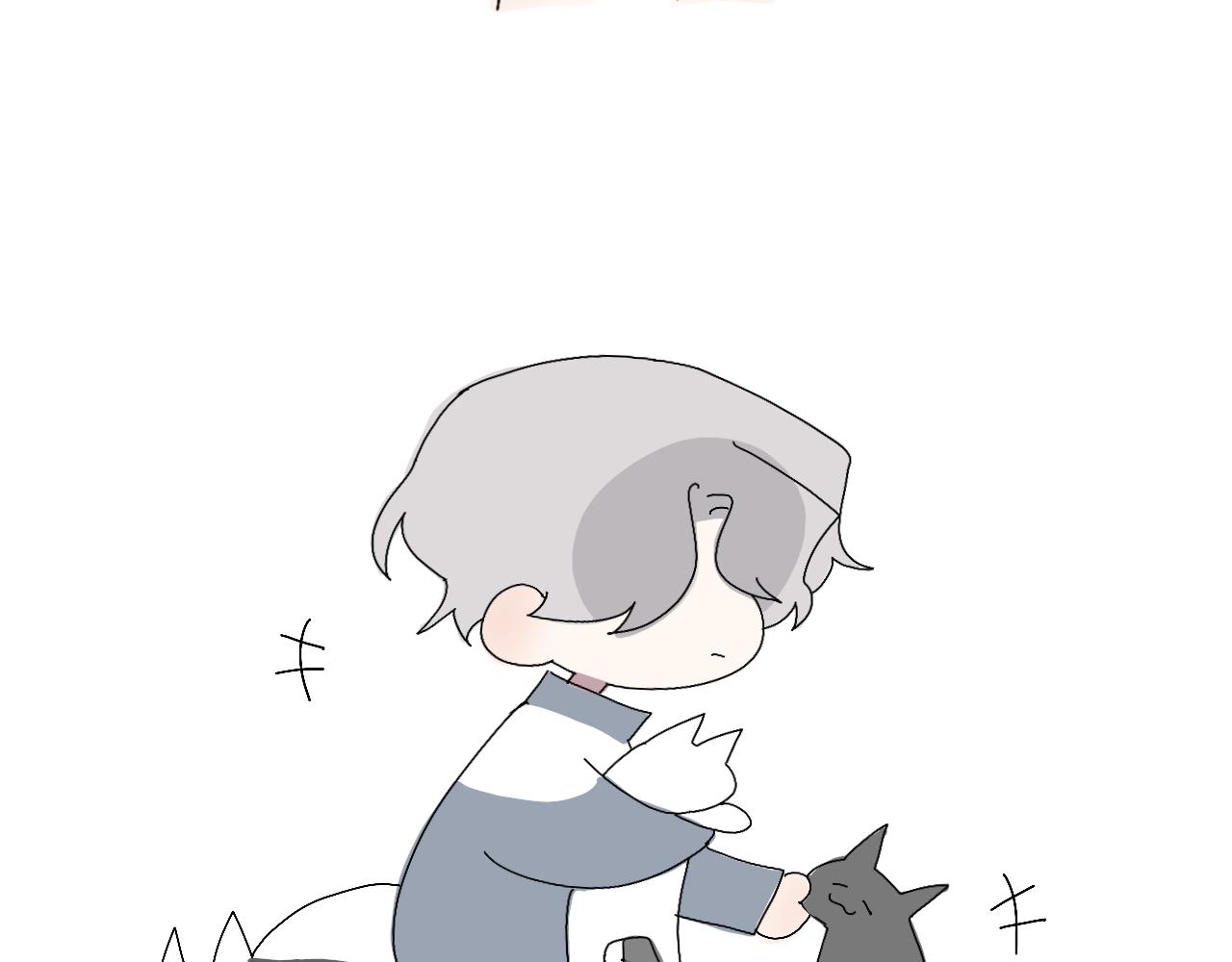 撸猫18