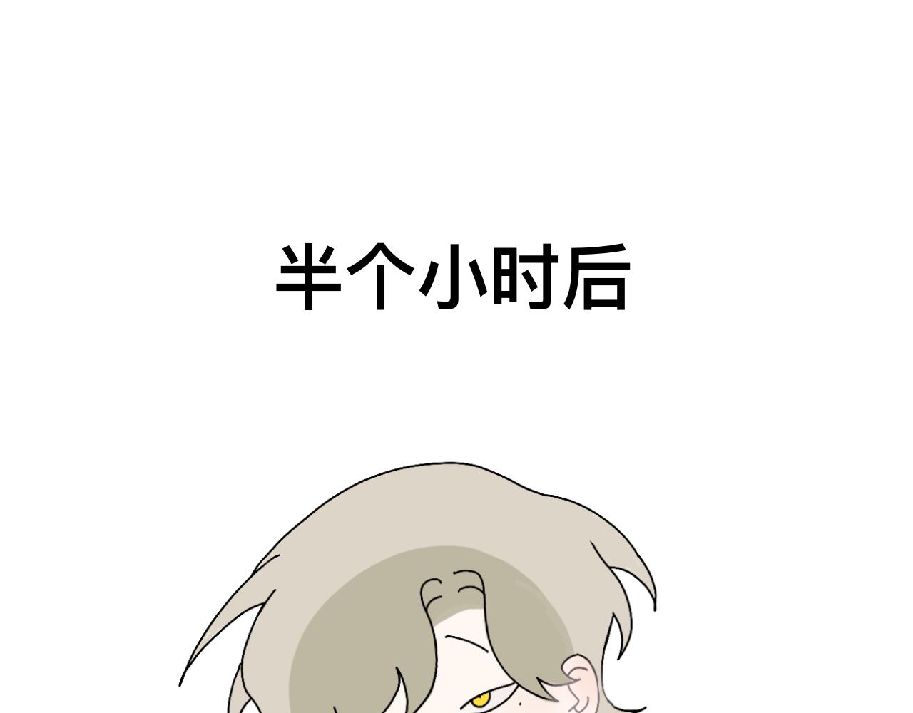 撸猫10