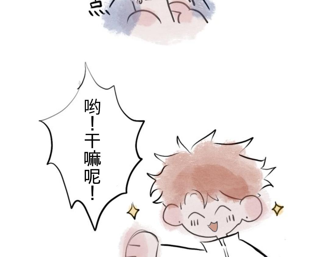 对家7