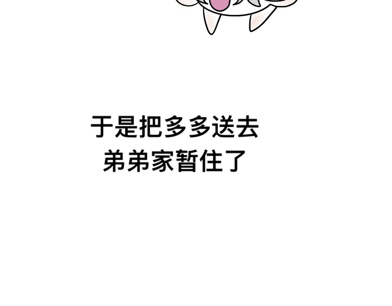 羊6