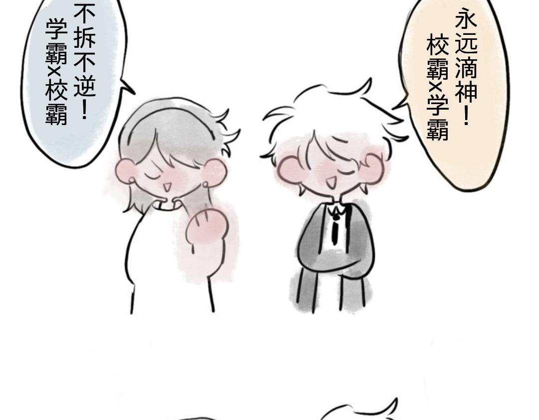 对家20