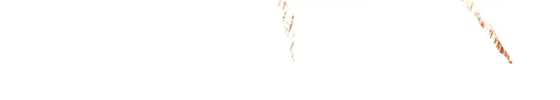 第十六章——再会79