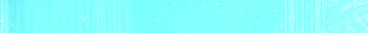 第五话 双人同游17