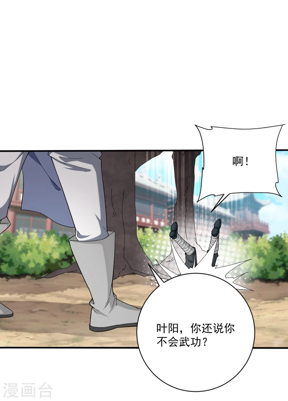 第1话 偷学武功11
