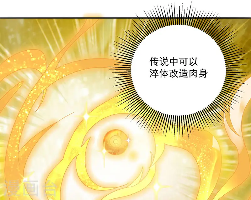 第4话 金丹14