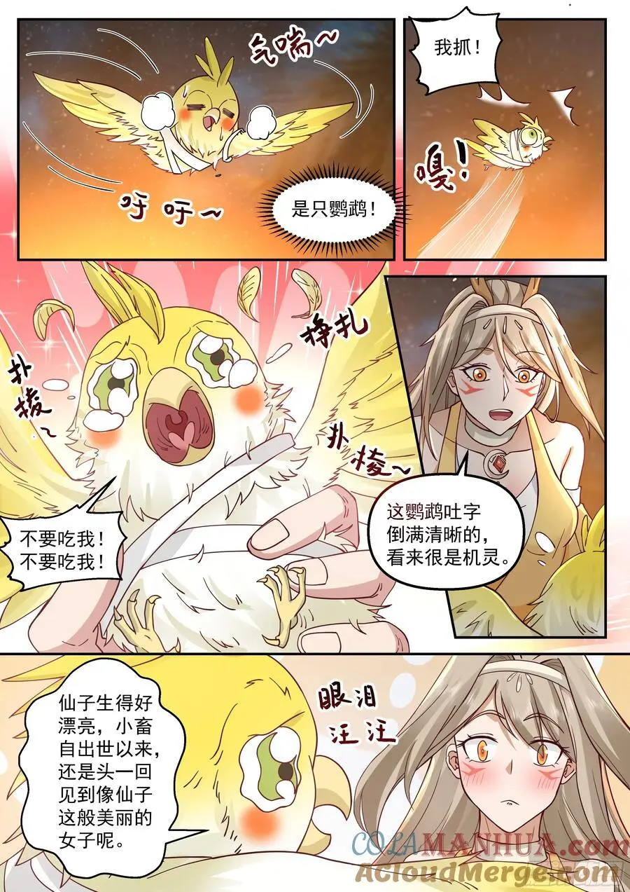 噬灵岛8