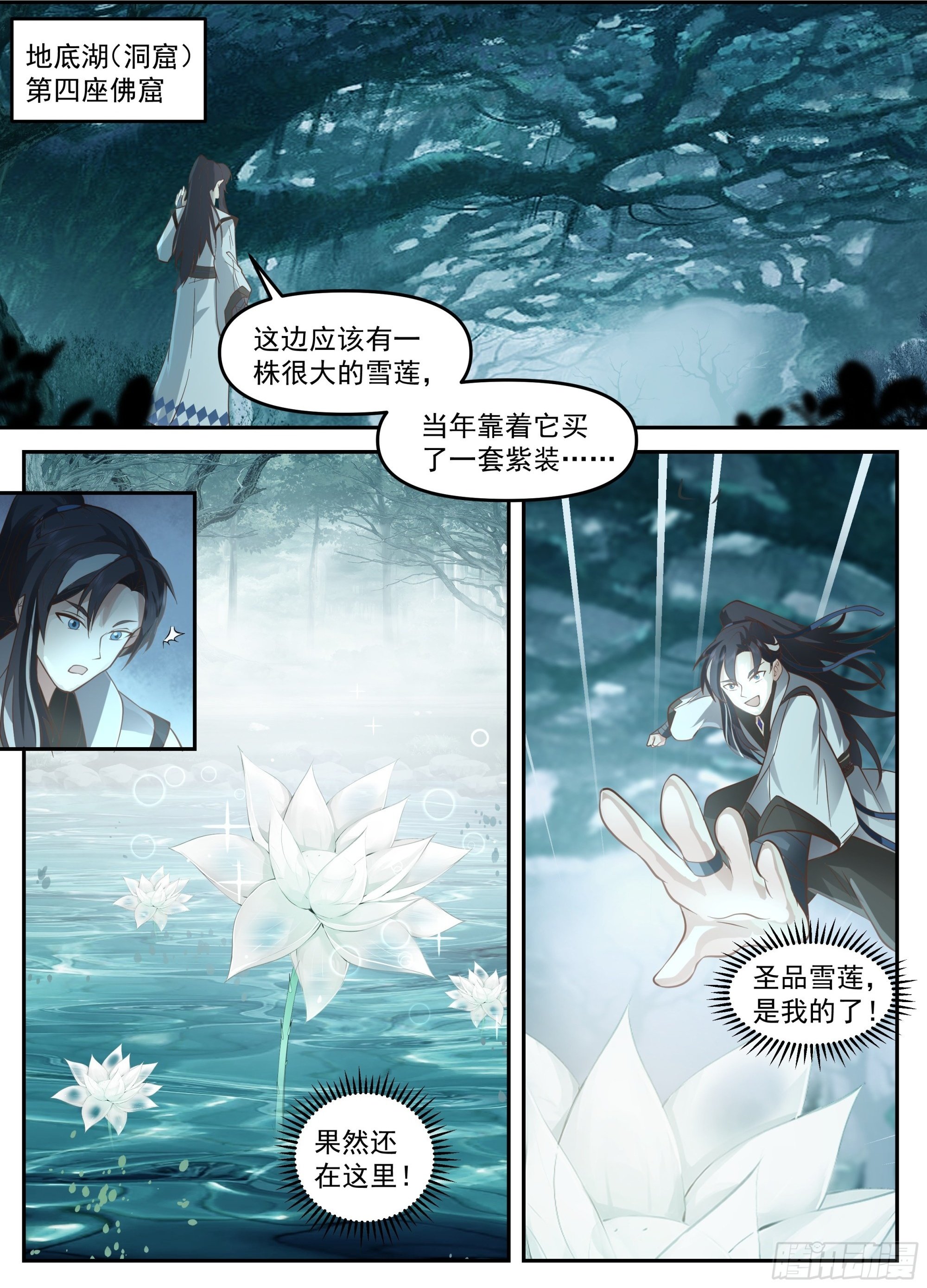 大雪莲之争1