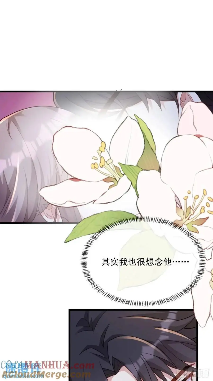 真的想你12