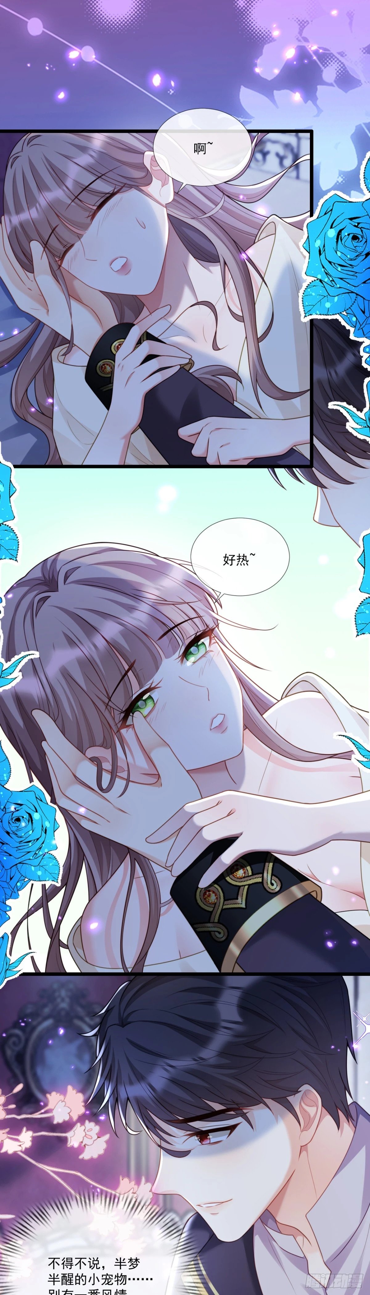 新的惊喜5