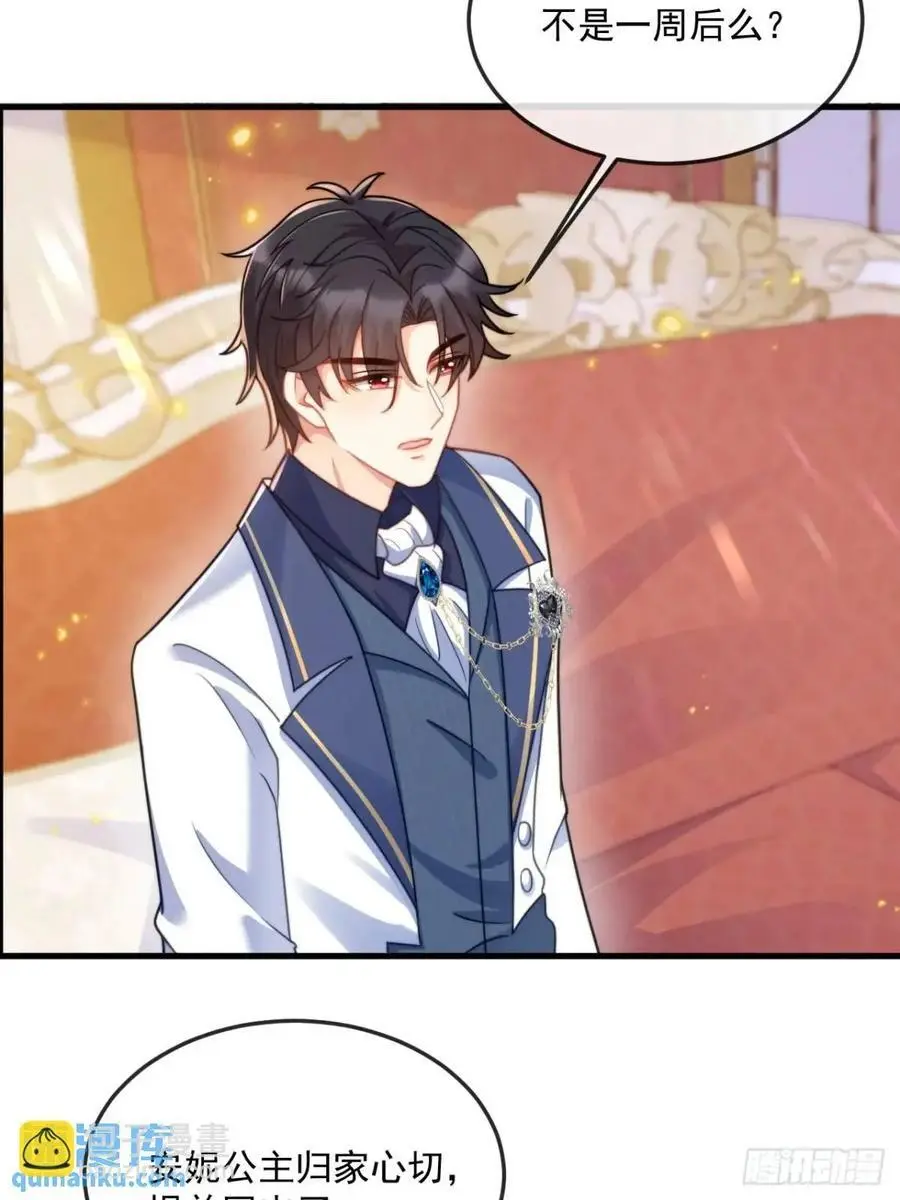 公主归来9