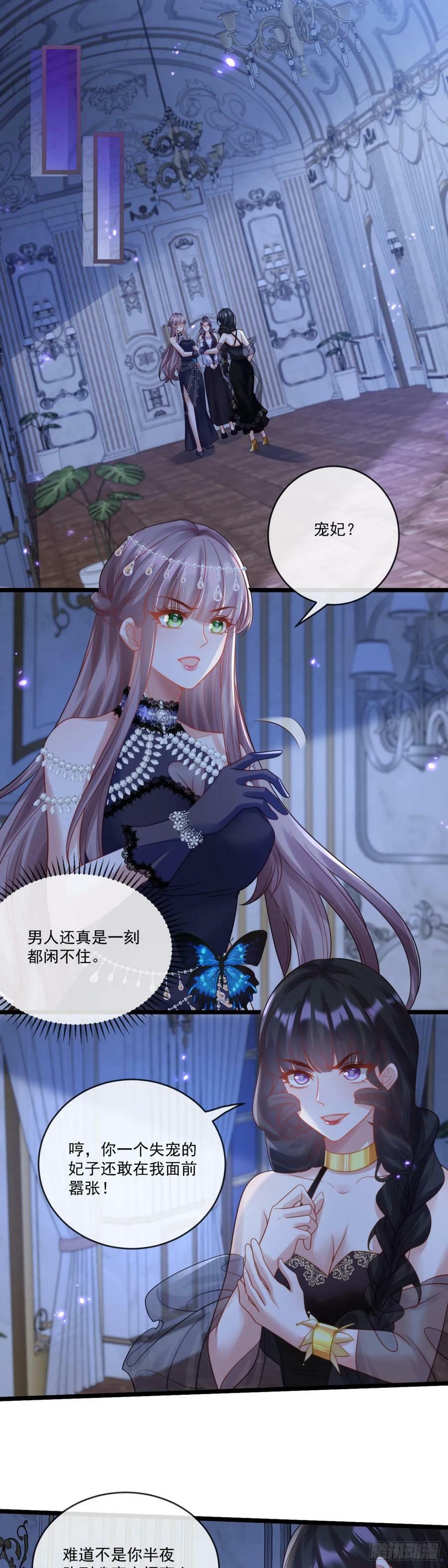 新的宠妃？呵！11