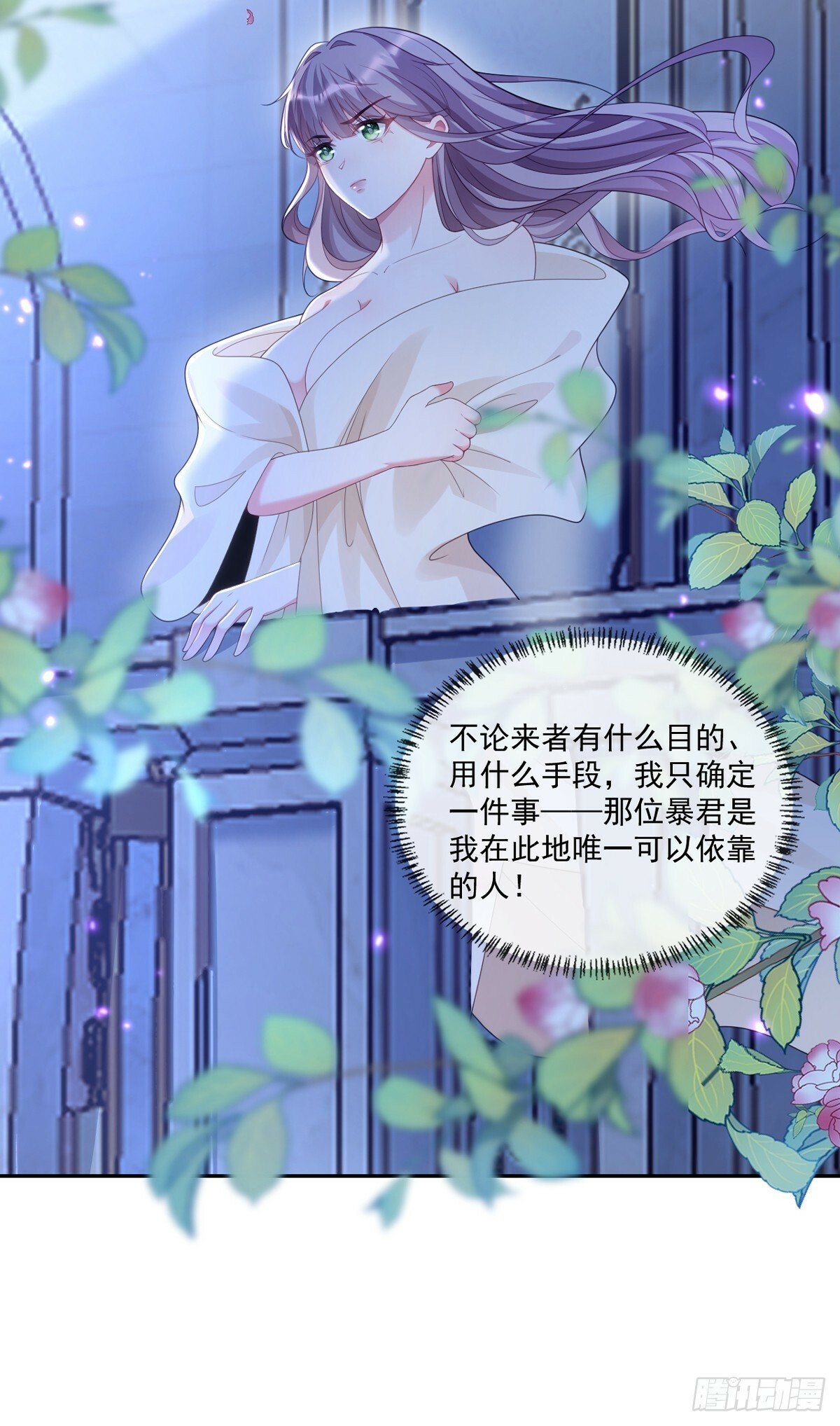 贝拉夫人3