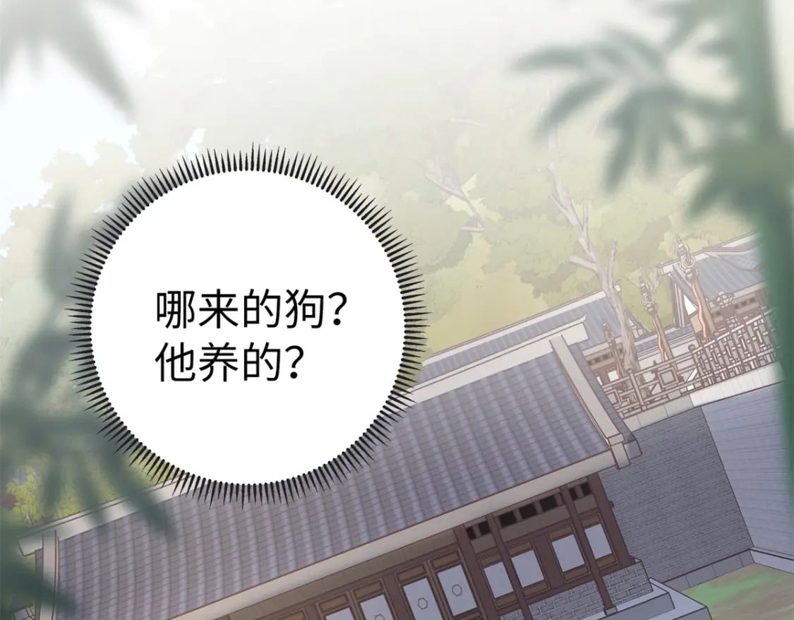 48 南宫受伤96