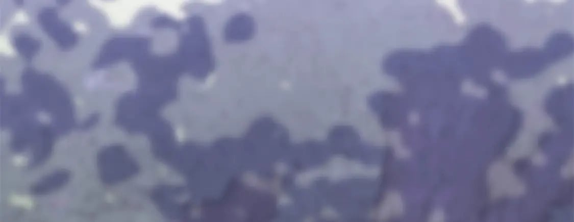 26 见一次打你一次63