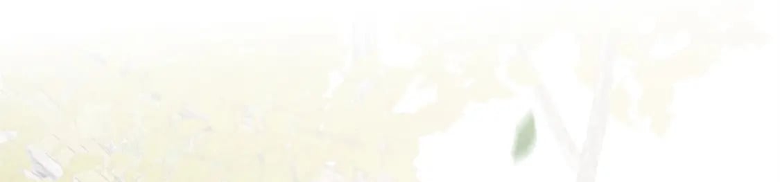 44 愣着干嘛？ 脱啊30
