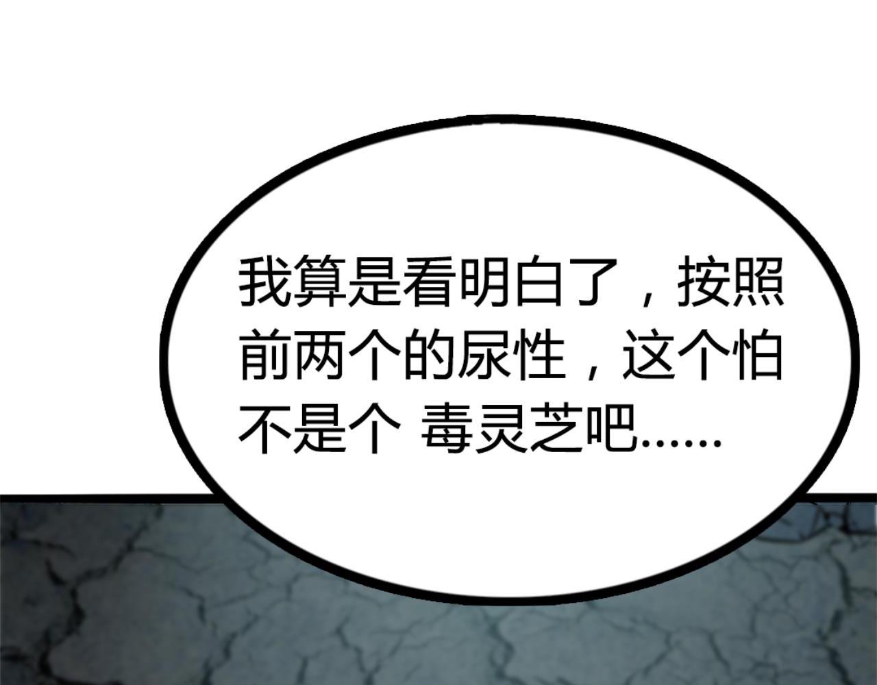 09藏宝洞的秘密221