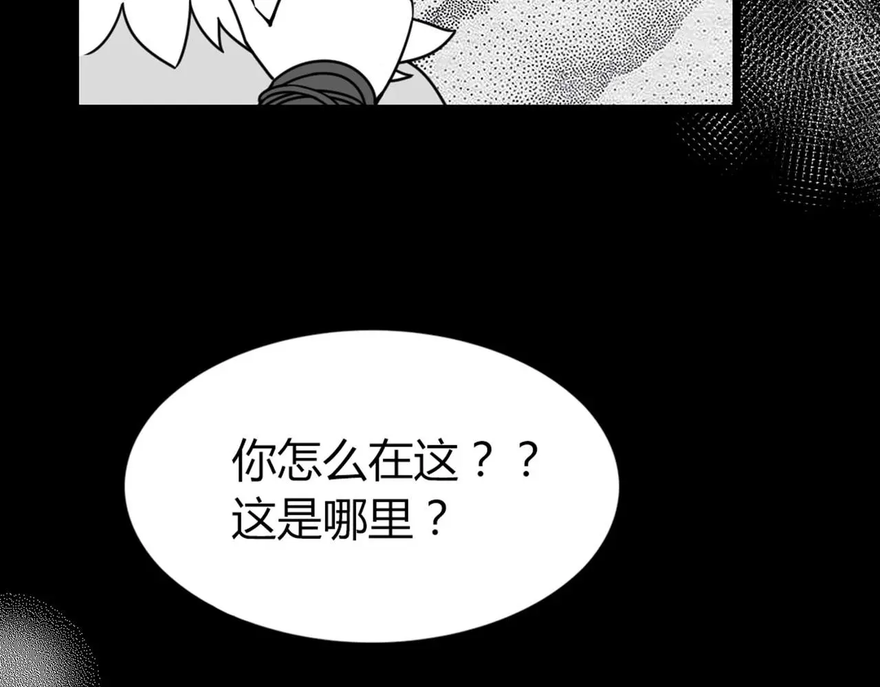 28白狼之耻146