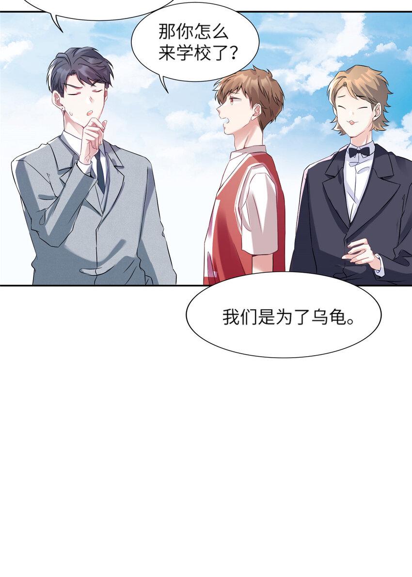 34 真的请来了乌龟？7