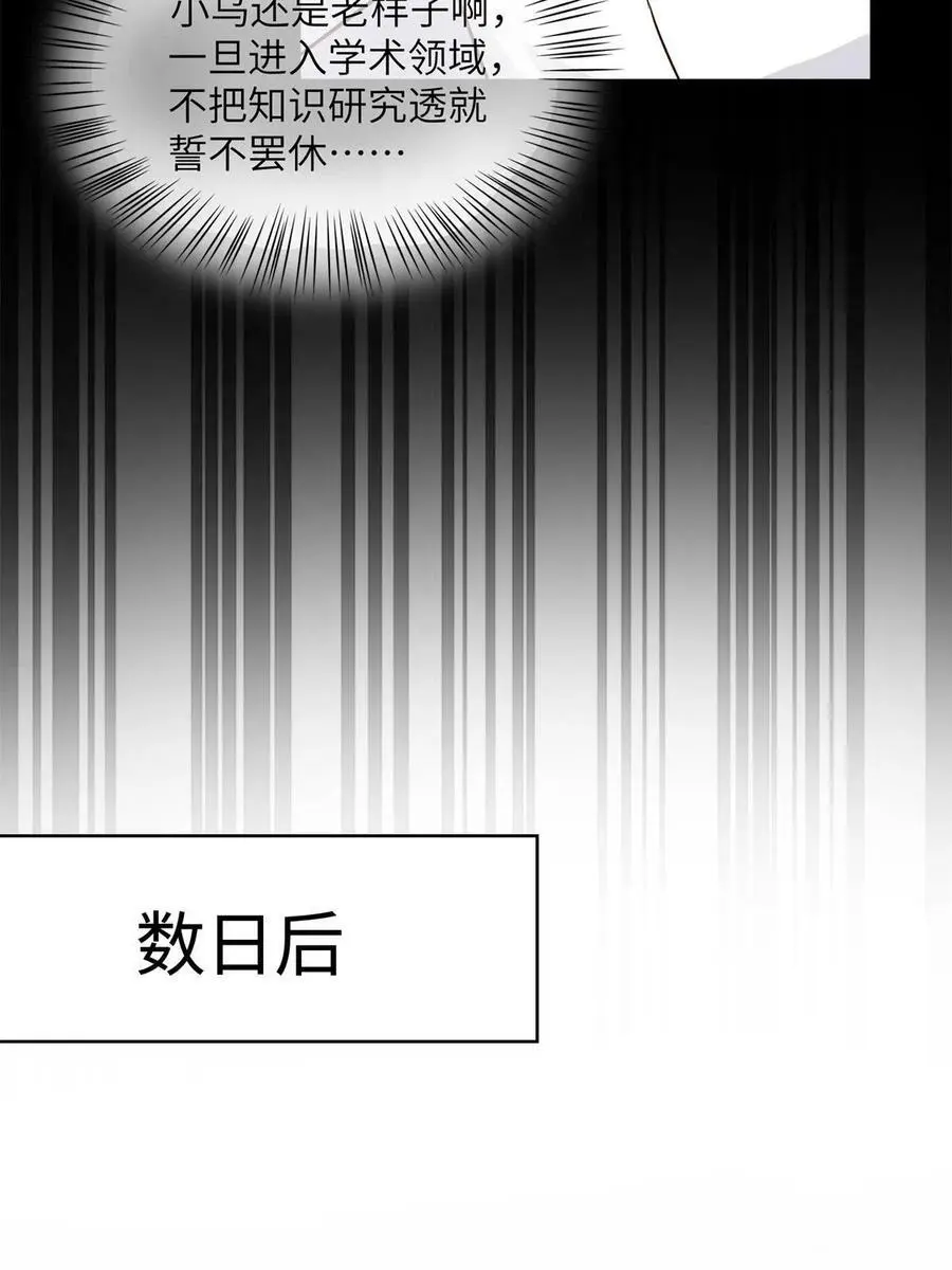 137 费小龟的来历31