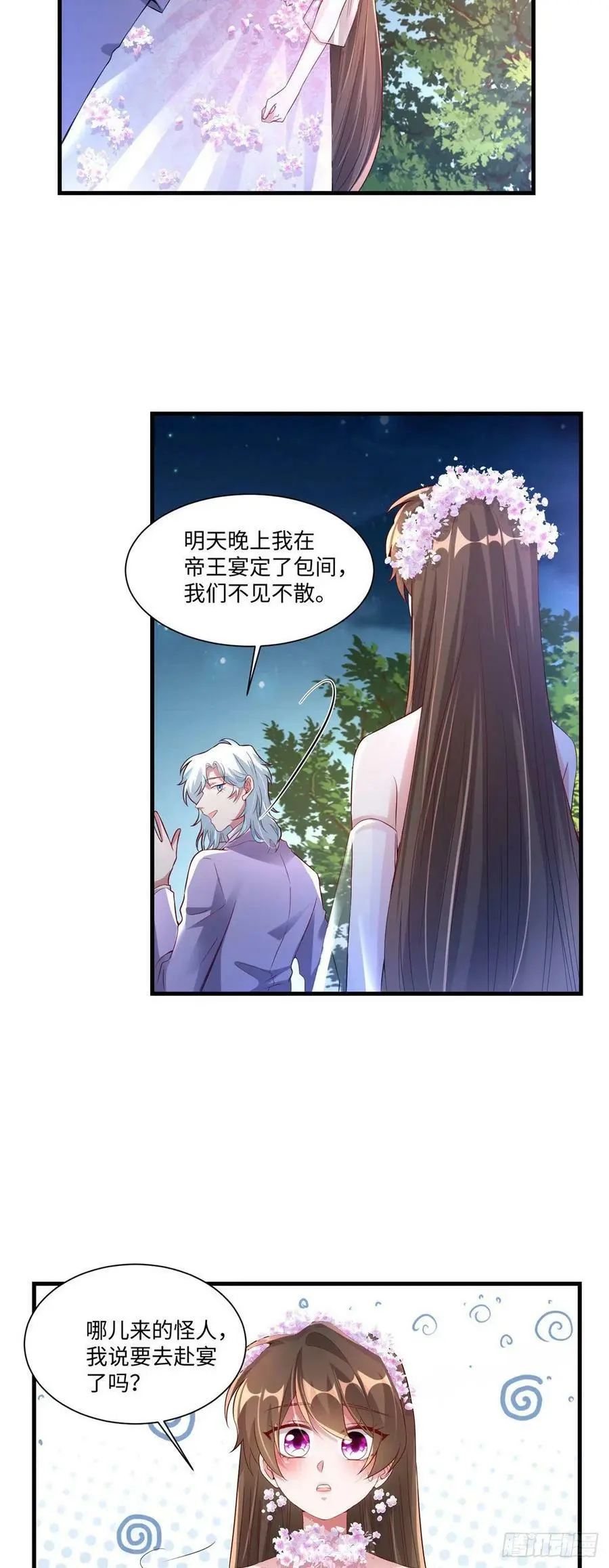 52 我的小乌，再也不在了43