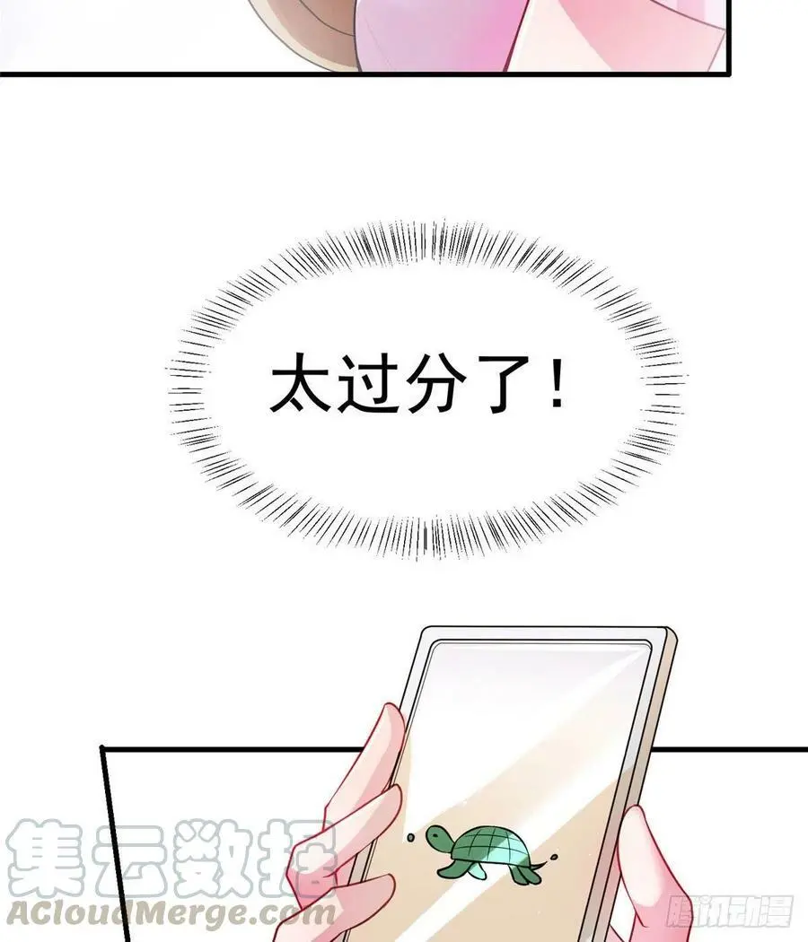 42 乌龟登场！54
