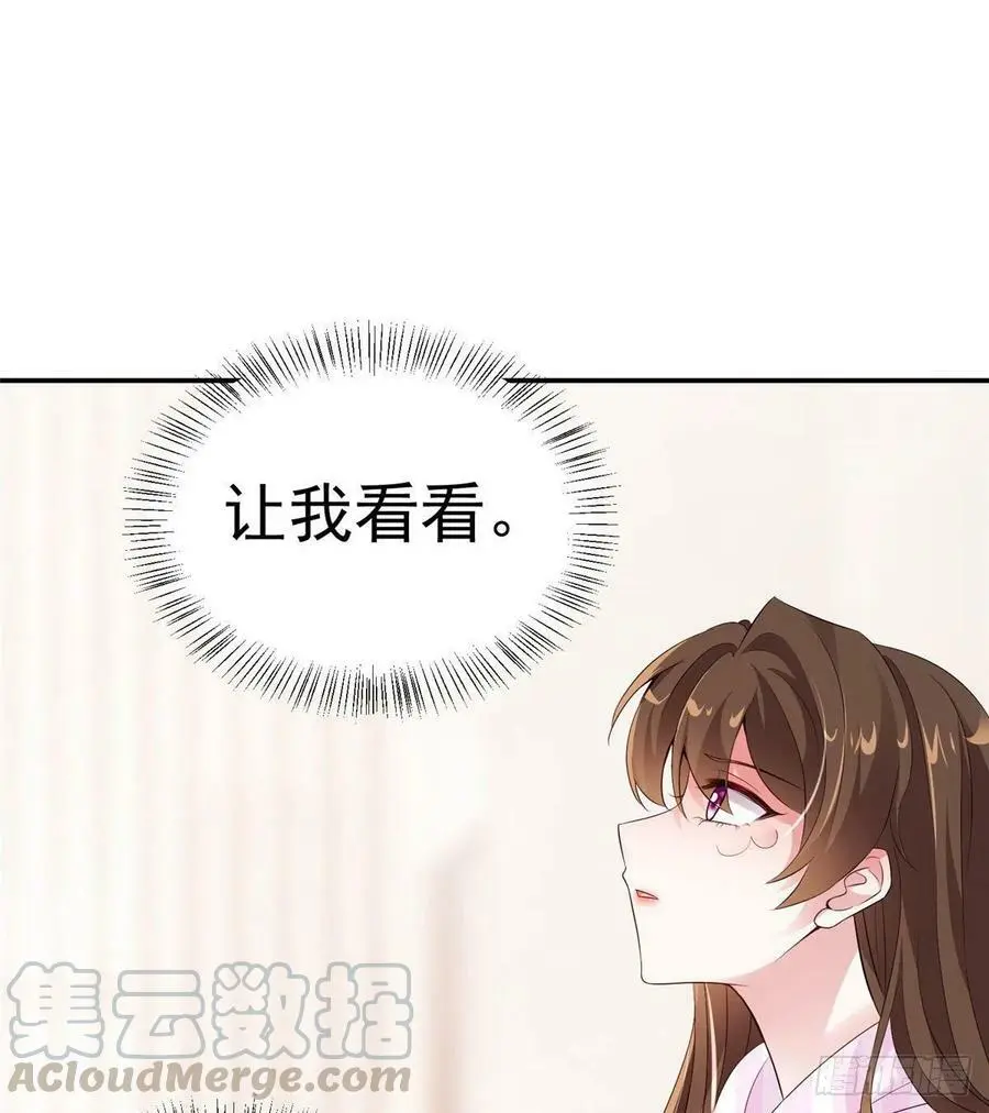 42 乌龟登场！6