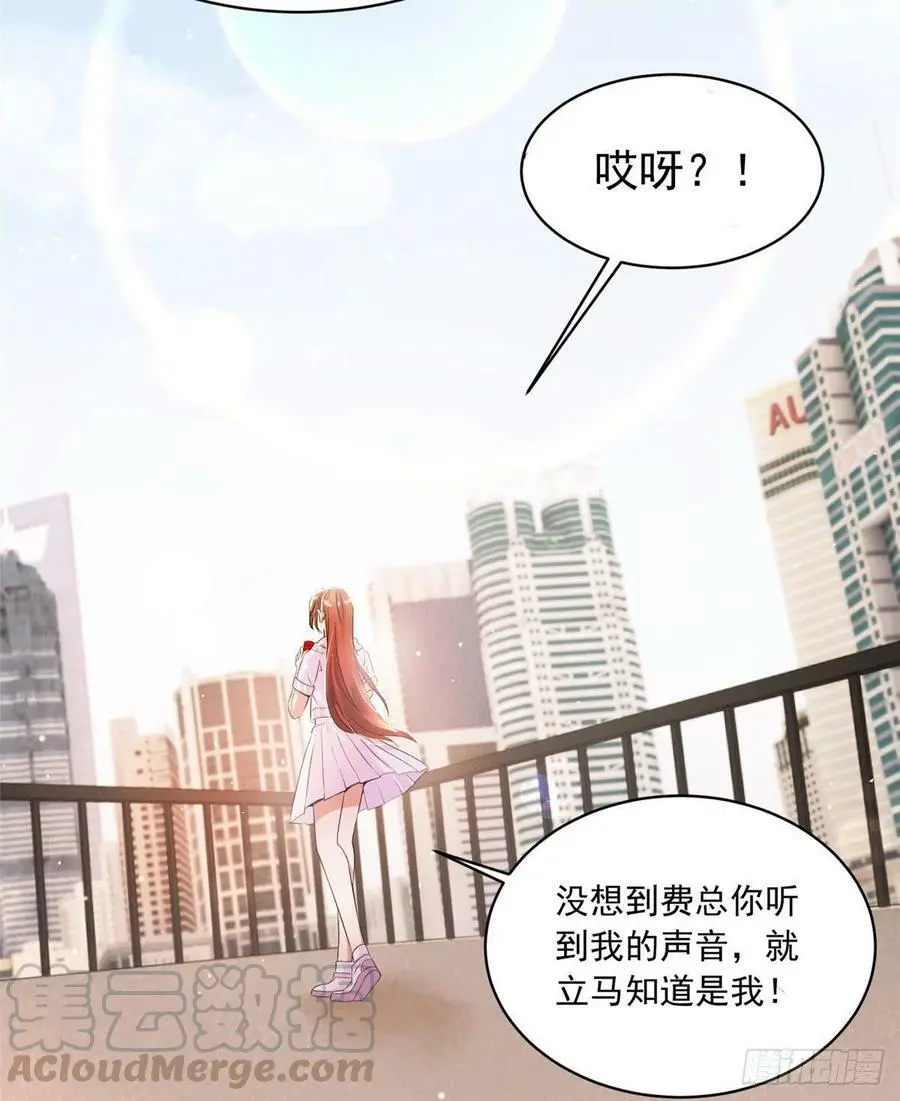 42 乌龟登场！72