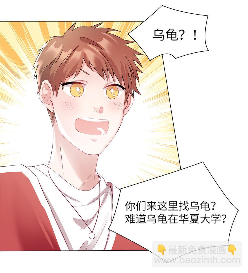 34 真的请来了乌龟？8
