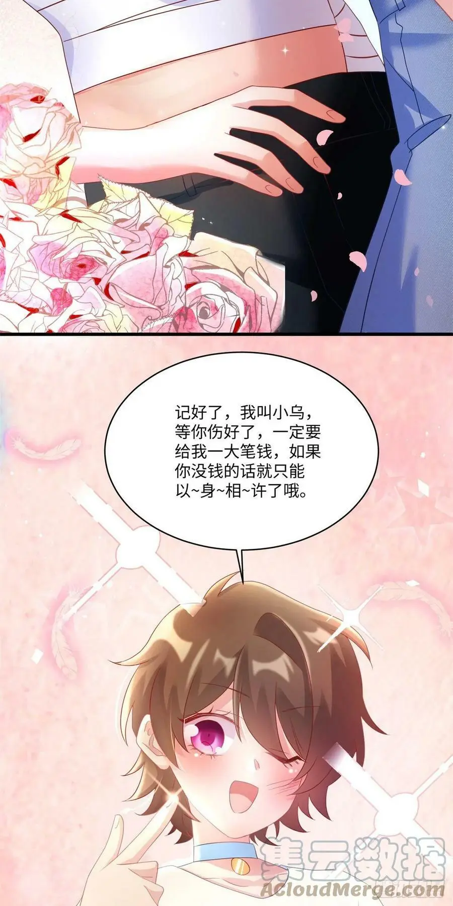 52 我的小乌，再也不在了24