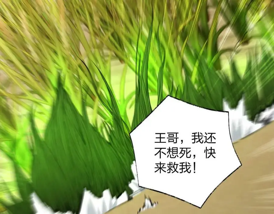 第23 智慧暴涨的植物（第一季完结）85