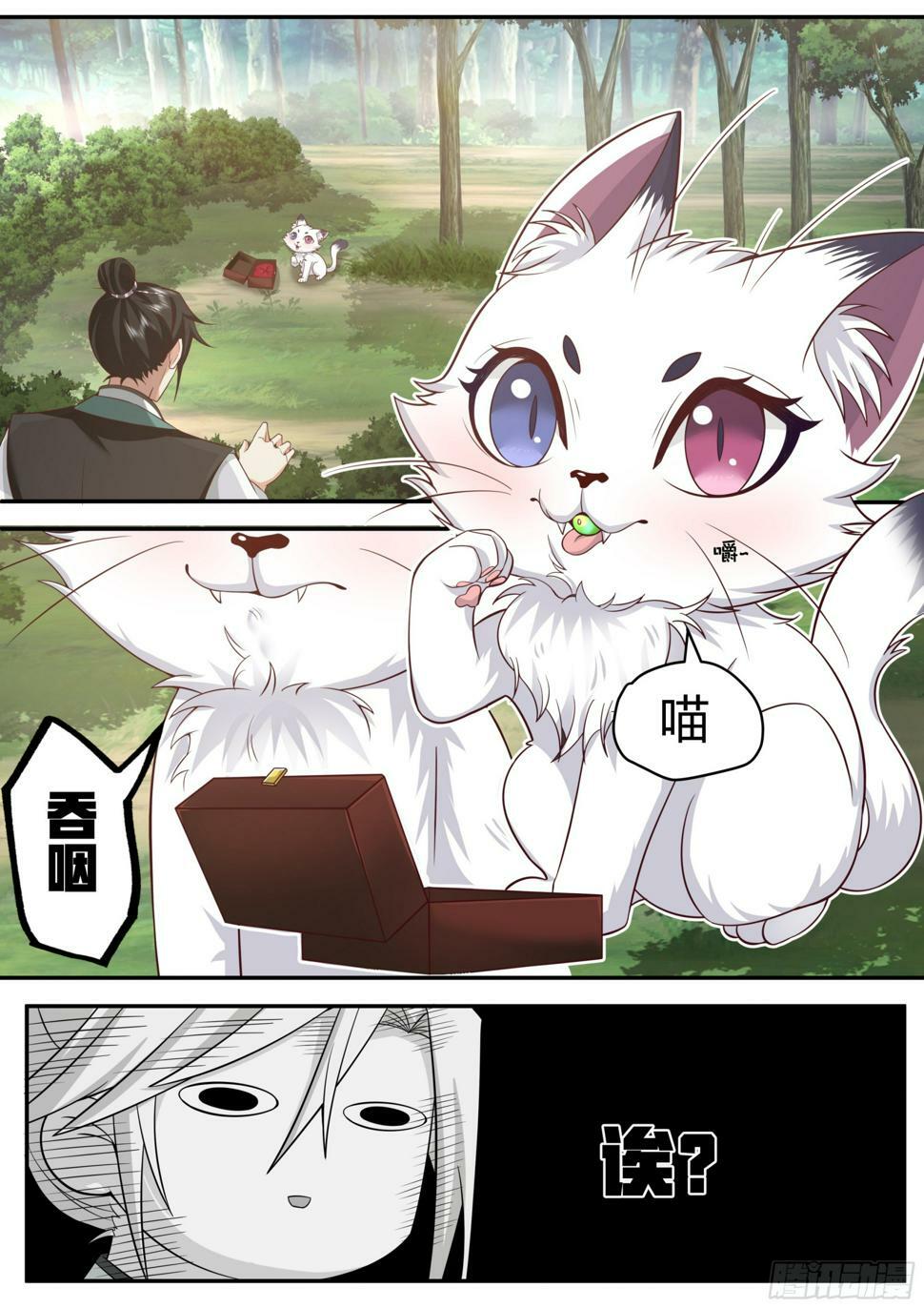 发现一只白猫？10