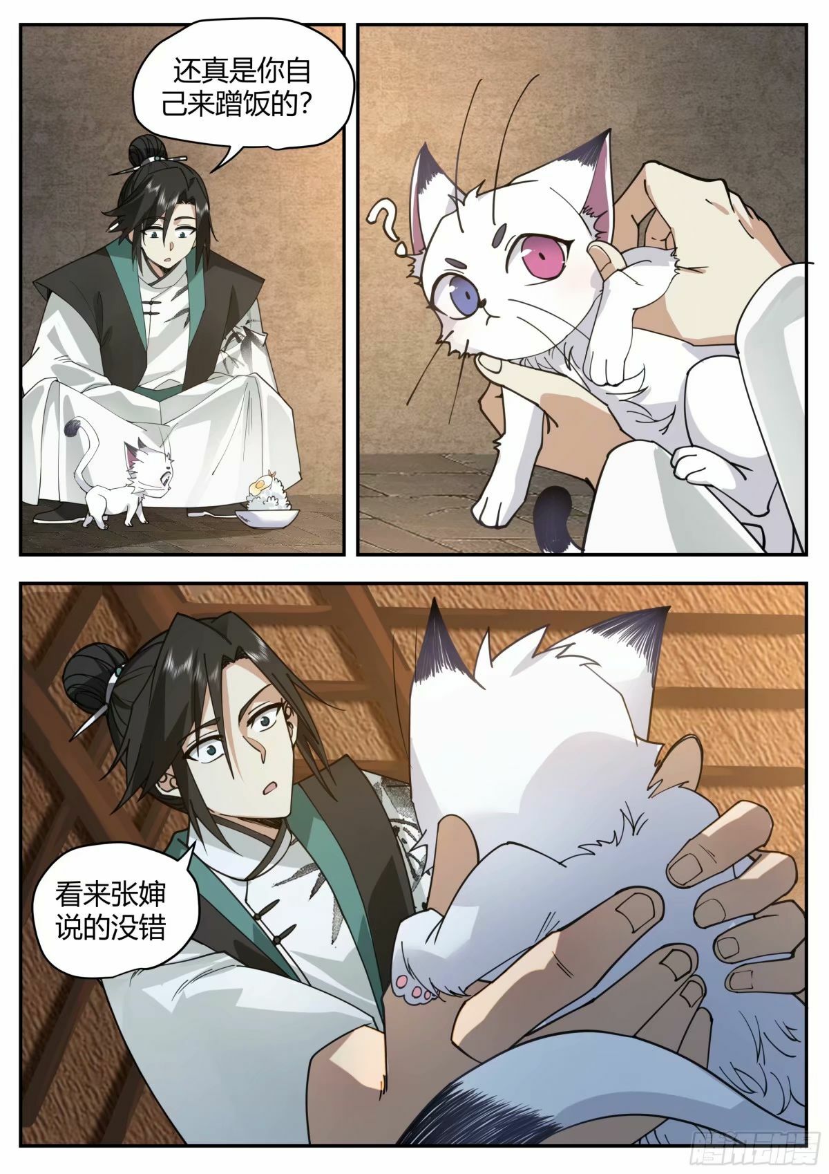 抢吃猫饭10