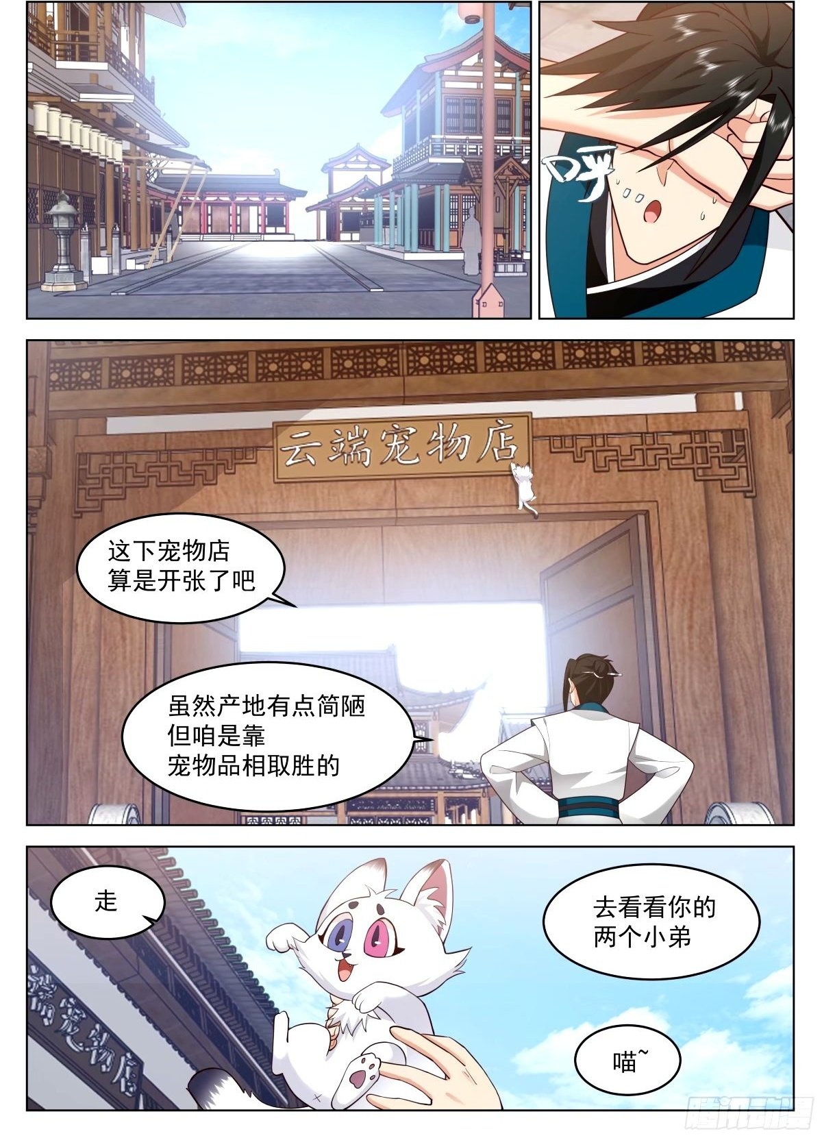 宠物店开张1