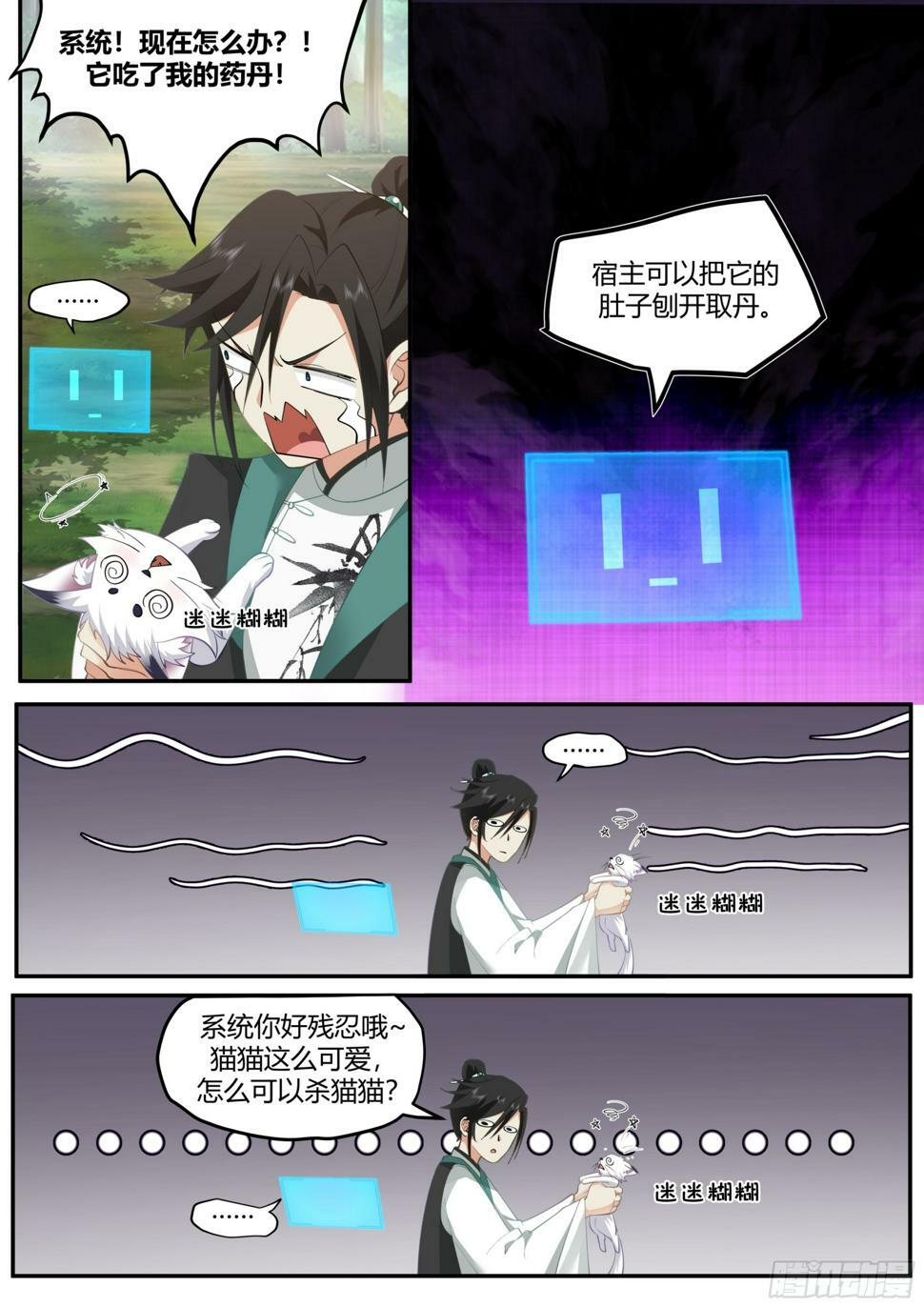 发现一只白猫？12