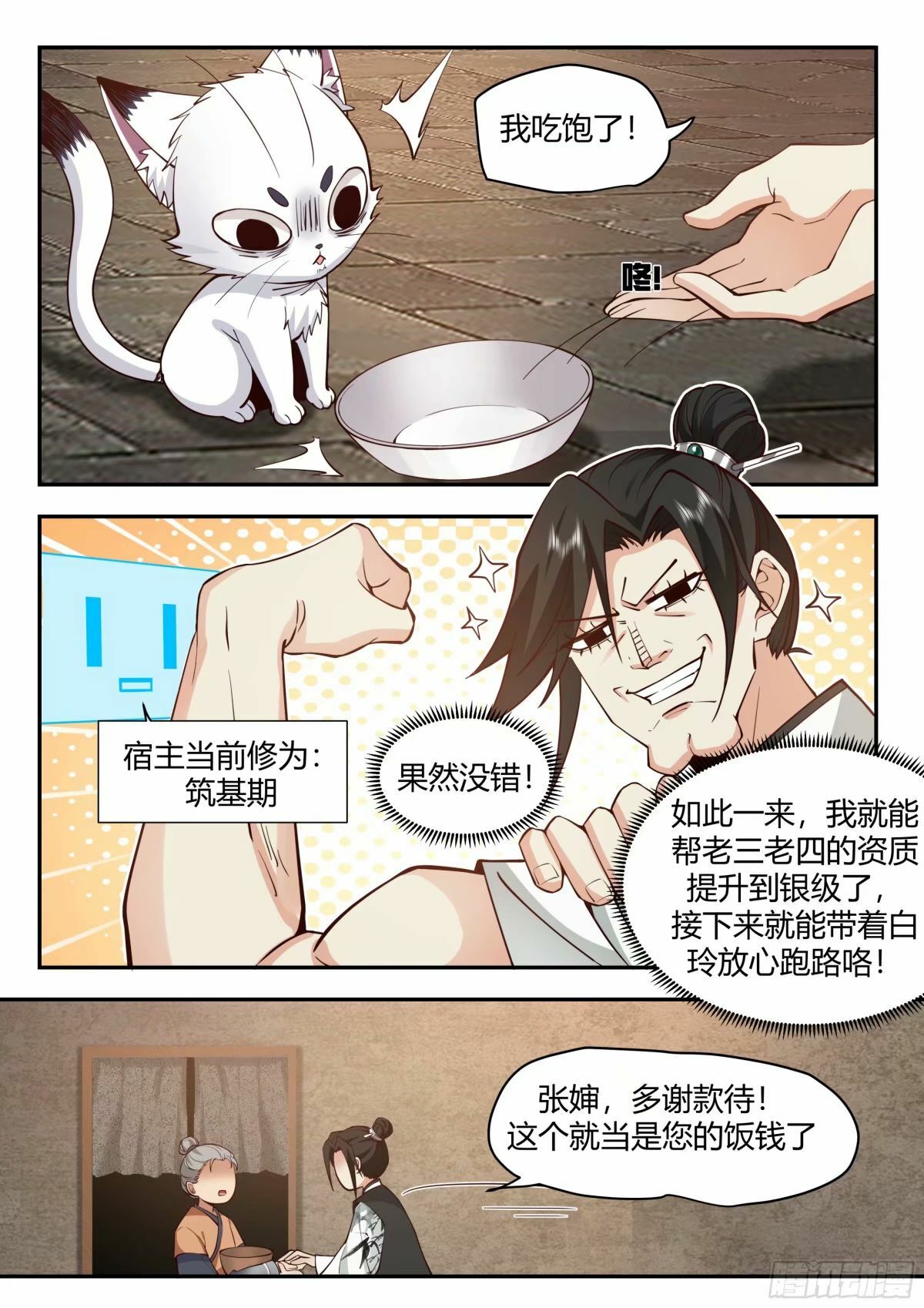 抢吃猫饭15