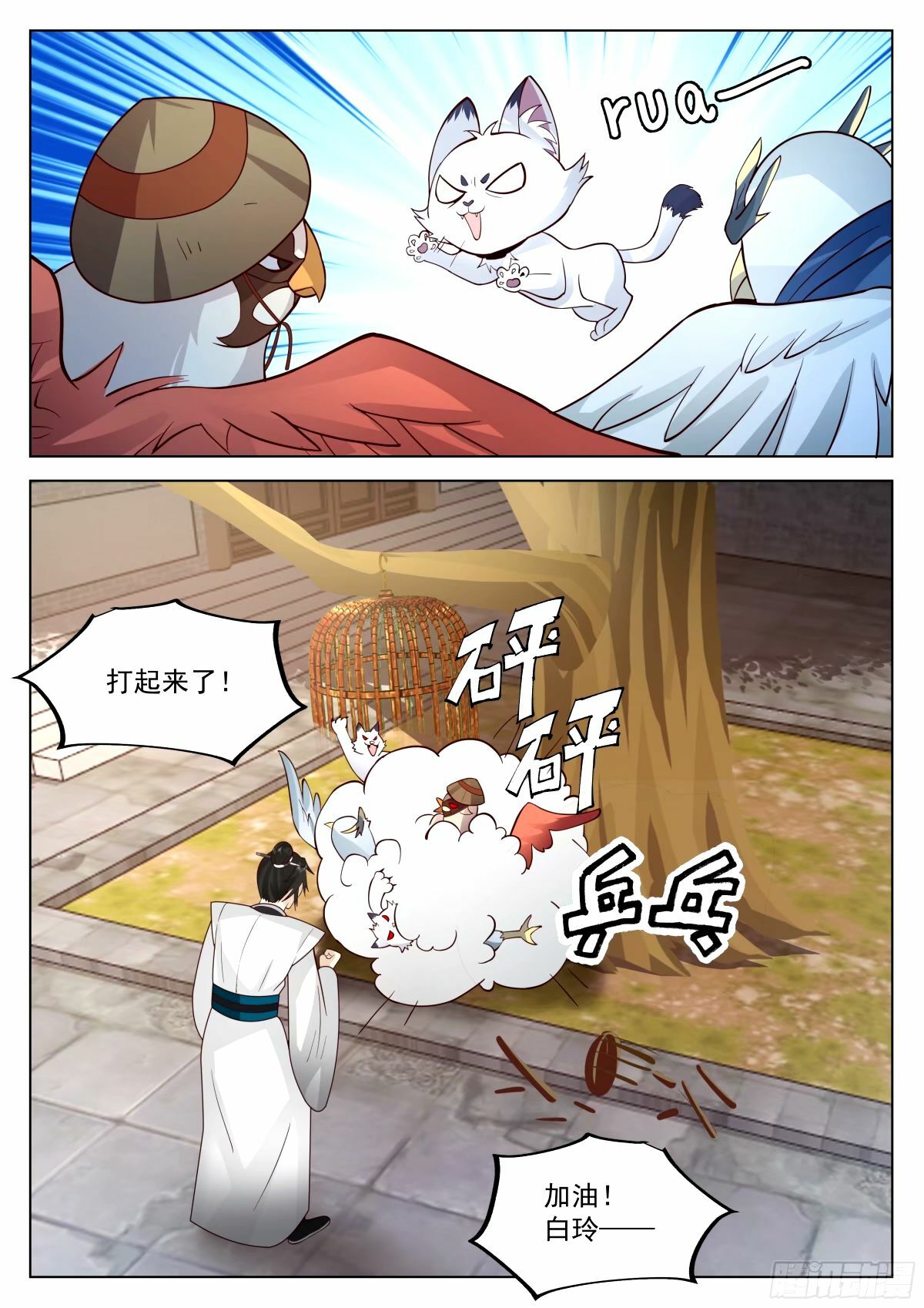宠物店开张7