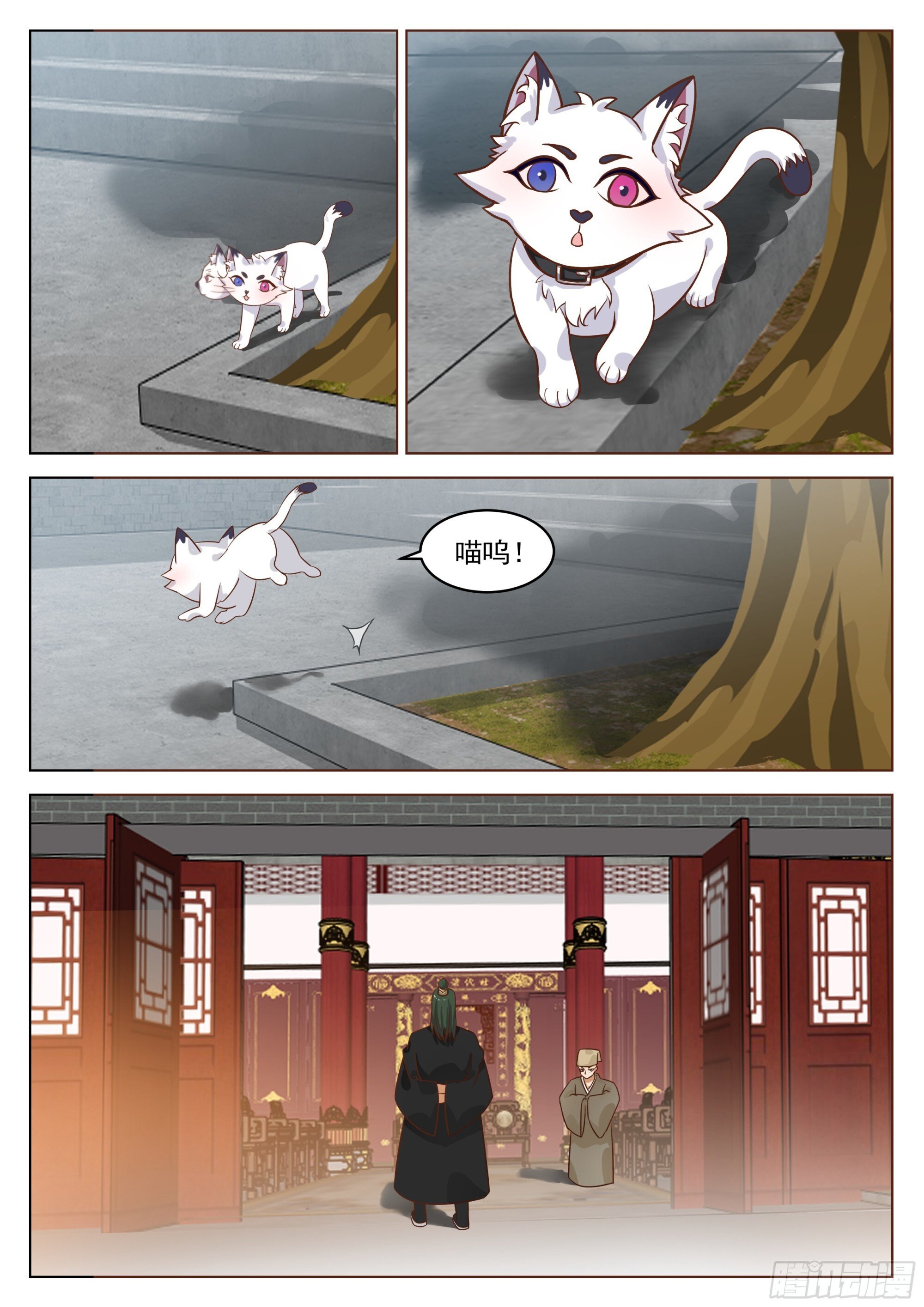 贺礼？那不是手到擒来？8