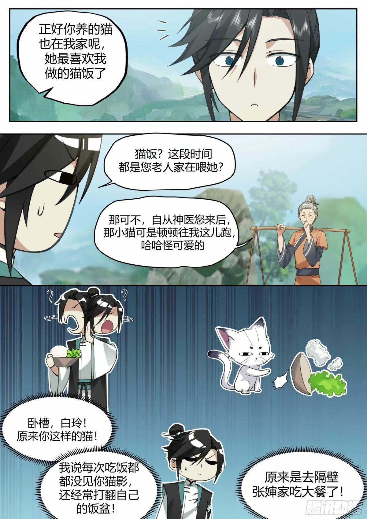 抢吃猫饭5