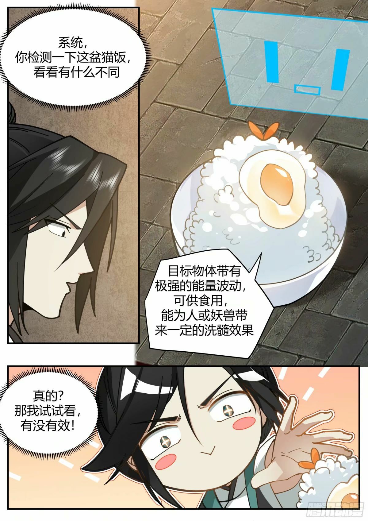 抢吃猫饭12