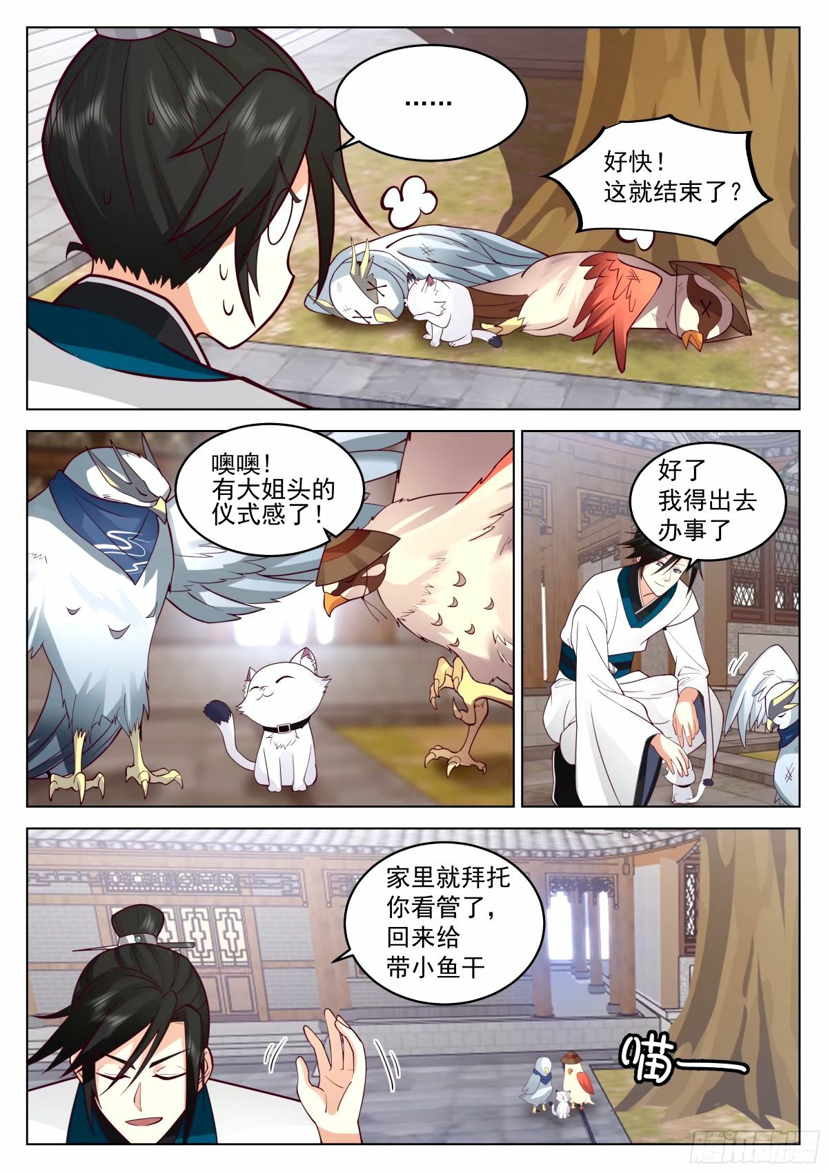 宠物店开张8