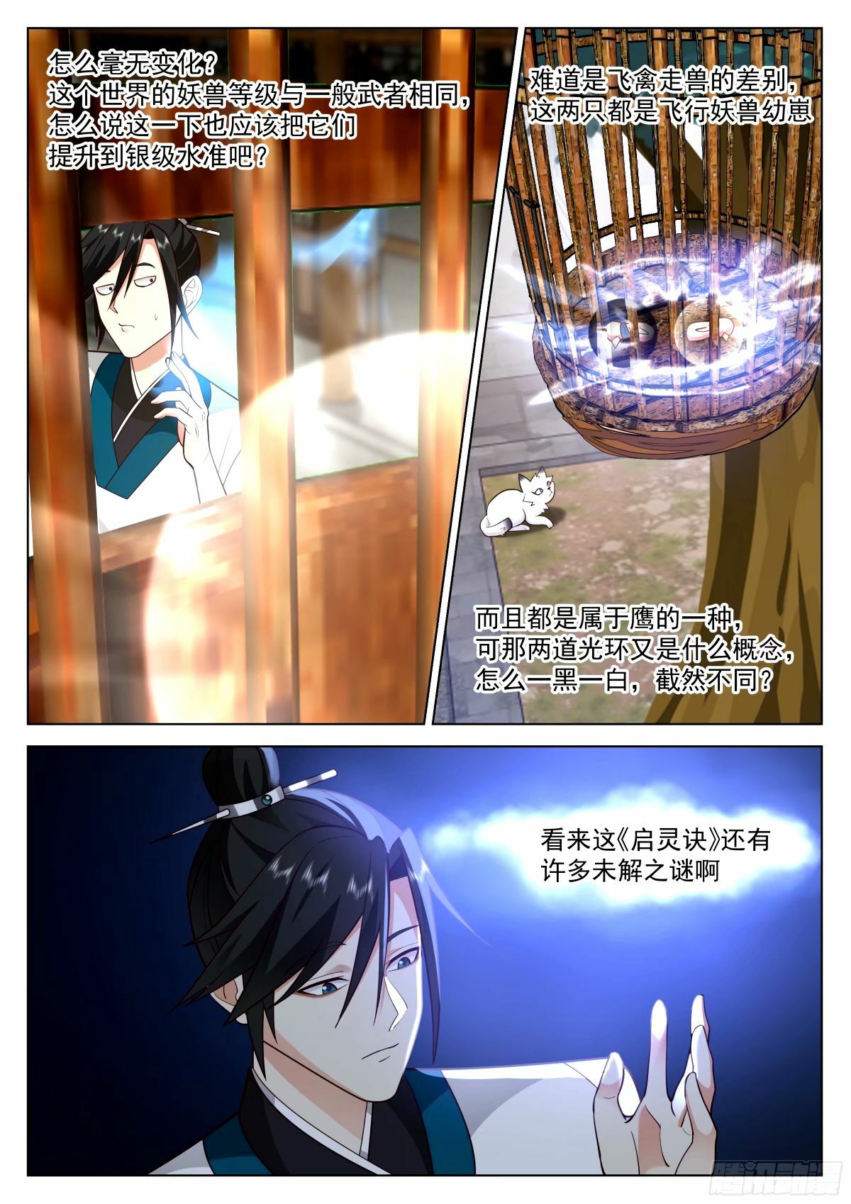 宠物店开张4