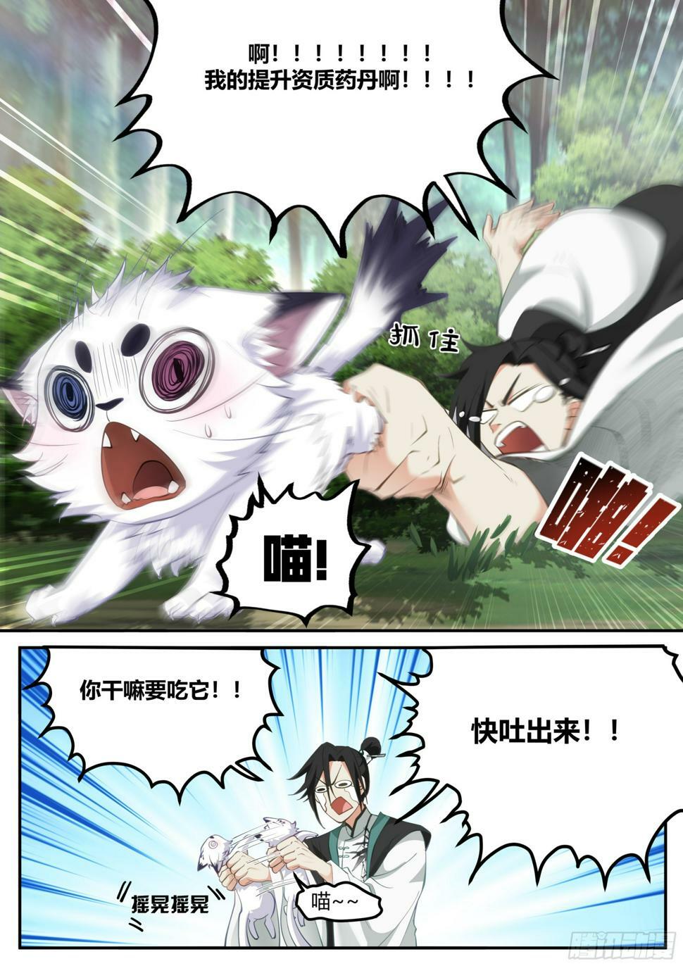 发现一只白猫？11