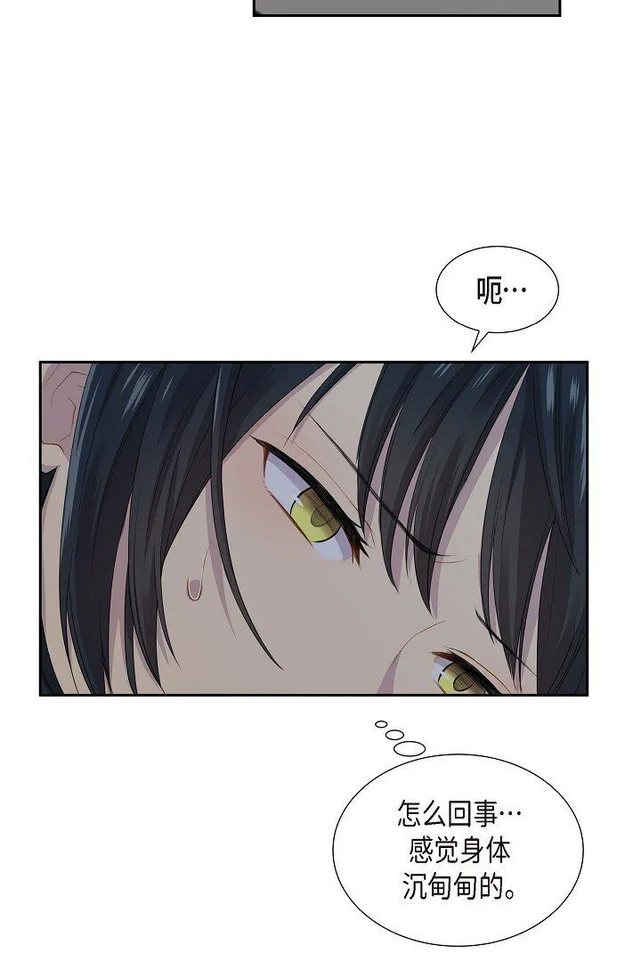 52 原始裂缝51