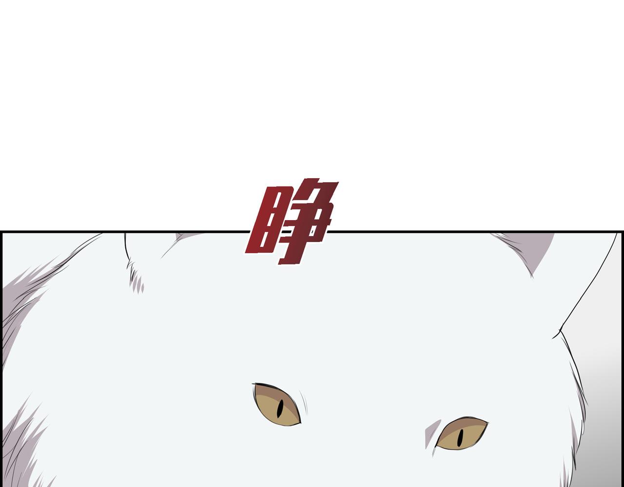 第23话 别拐弯抹角的！114