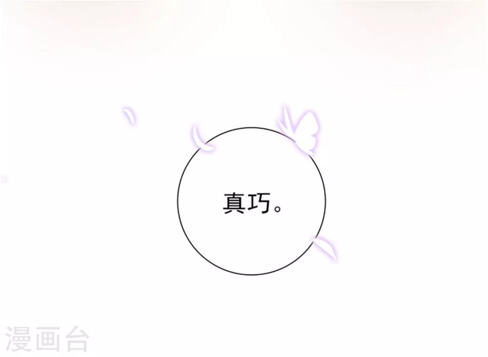 第18话 是巧合还是故意8