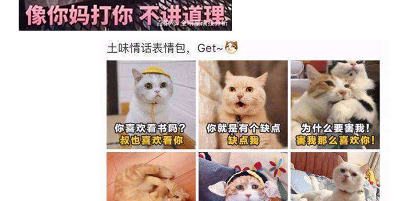 我的天使80