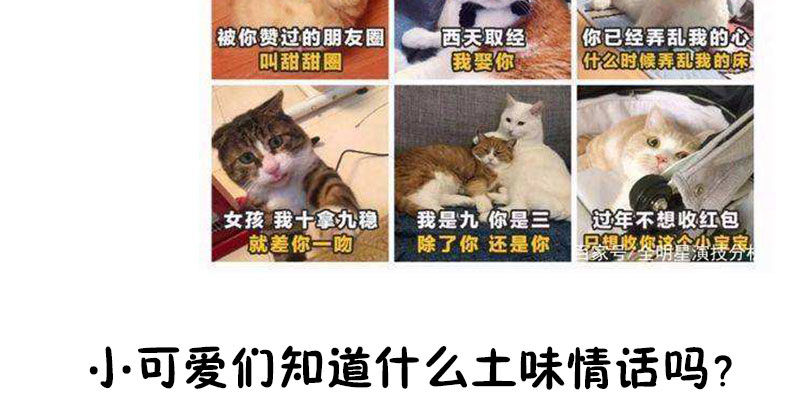 我的天使81